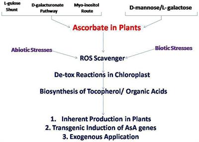 Redox homeostasis in plants under abiotic stress: role of electron carriers, energy metabolism mediators and proteinaceous thiols